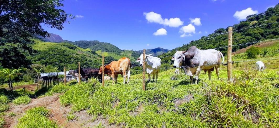 Fazendinha Paraiso Lumiar Eksteriør bilde